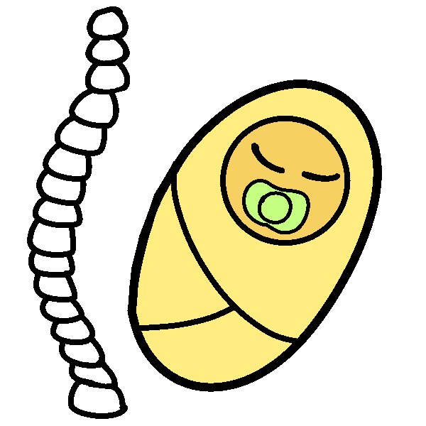 A curving spine next to a swaddled infant.